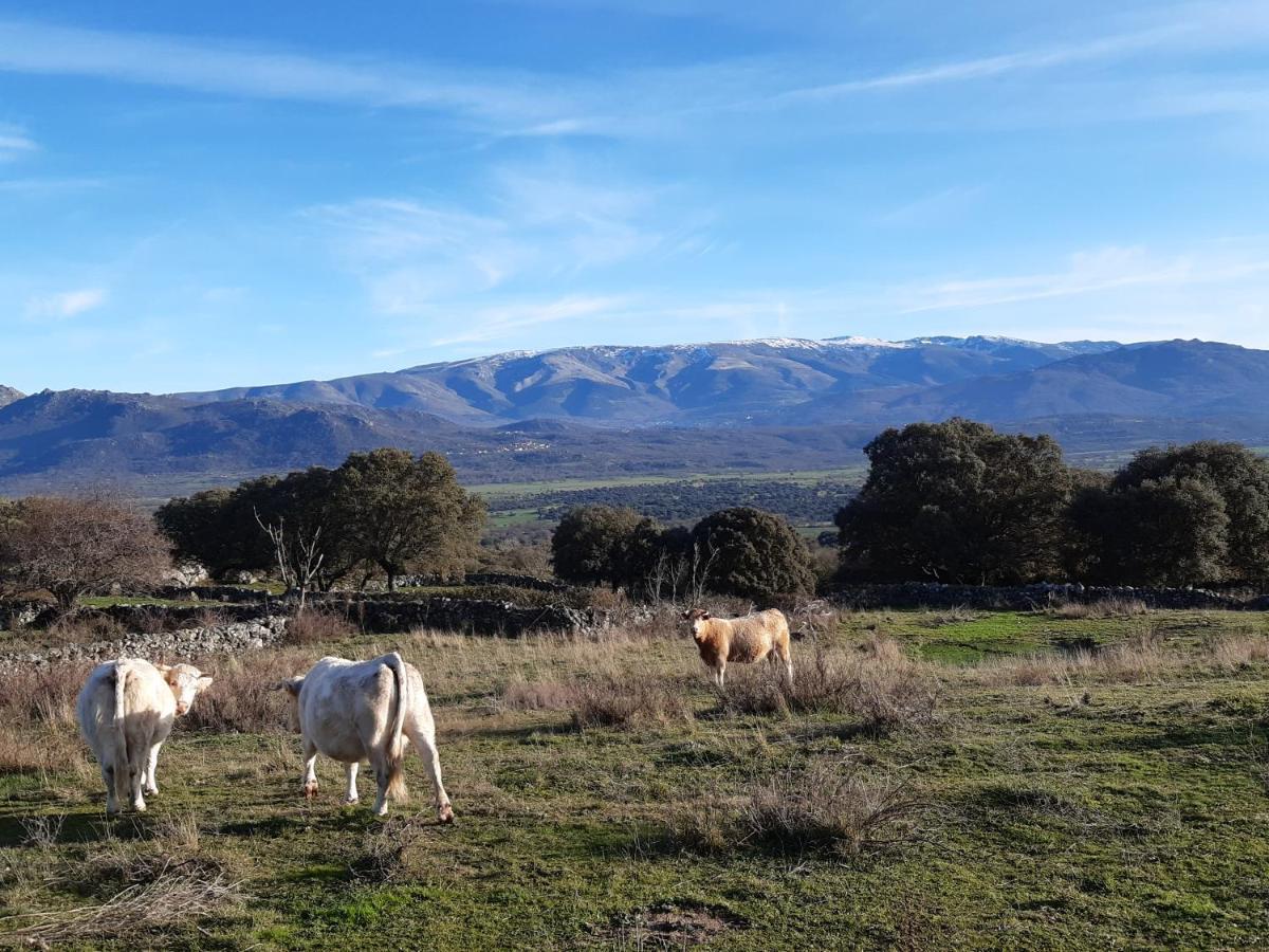 Casa Rural Mi Descanso Valdefuentes de Sangusín Exterior foto